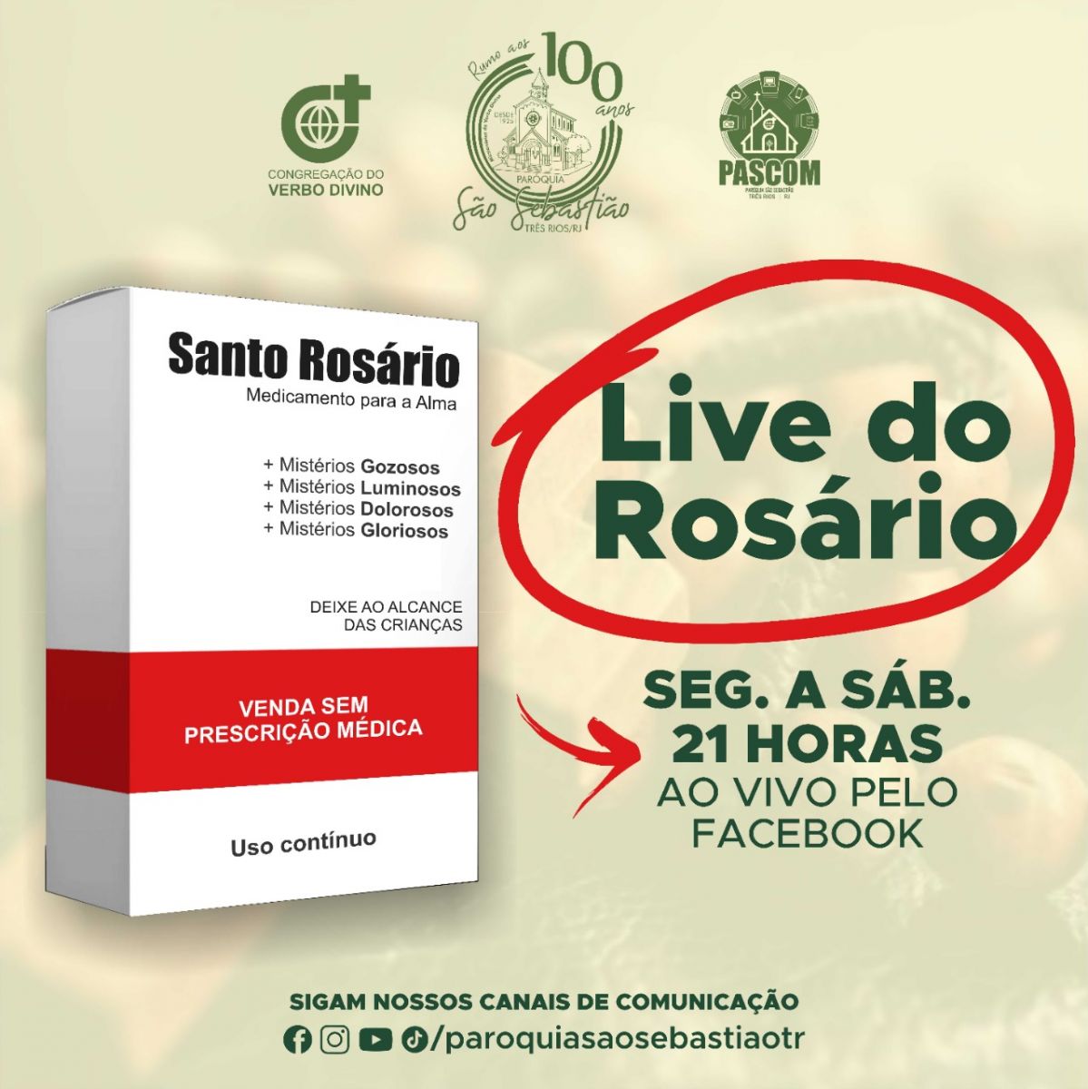Fonte: Paróquia São Sebastião TR