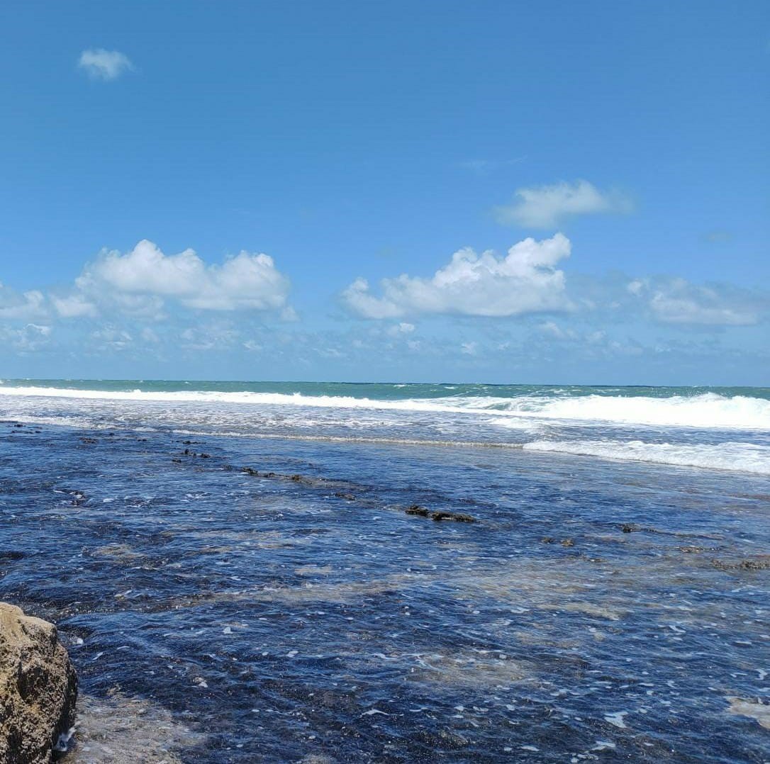 O mar e suas pedras (Foto: Maria Fernanda da Silva Santos)