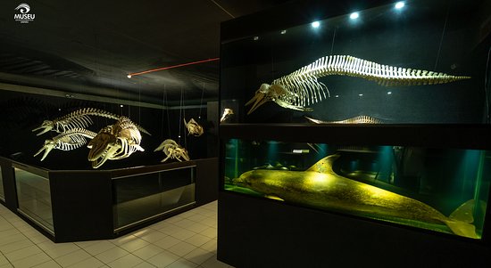 Museu Oceanográfico