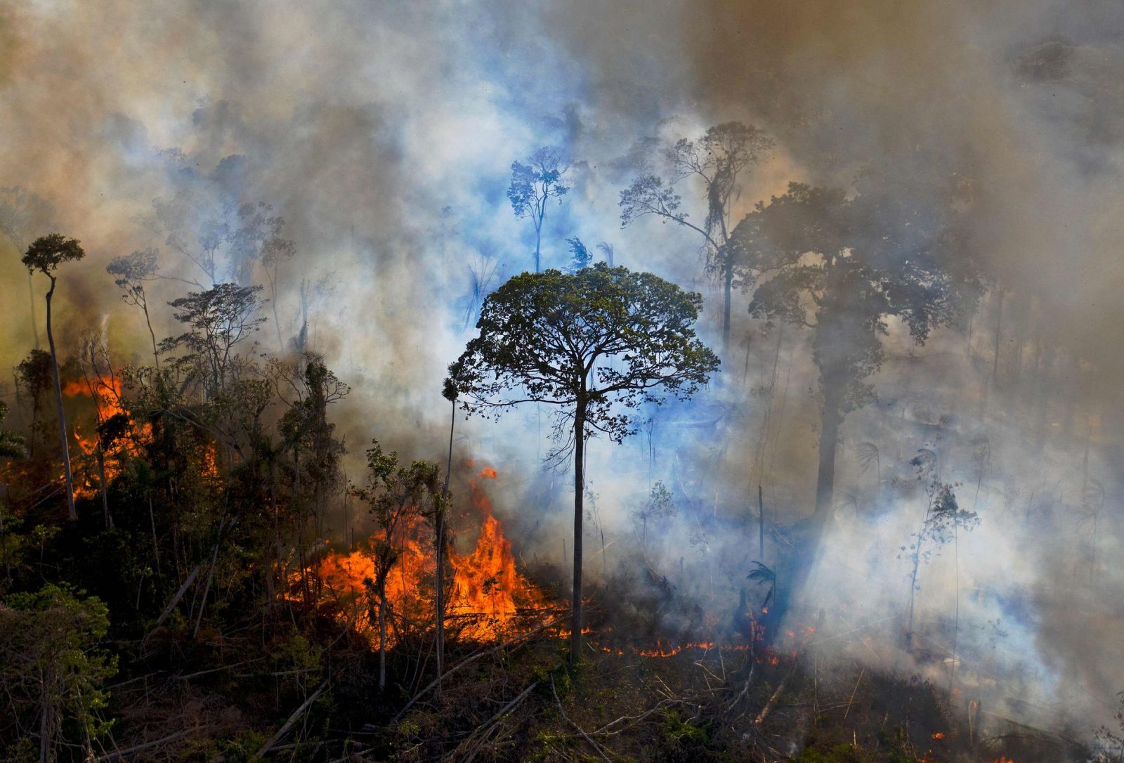 Incêndio ilegal em uma reserva ambiental da Amazônia, em agosto de 2020