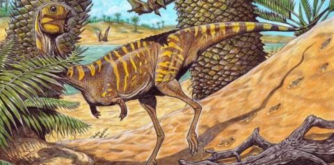 Dinossauro sem dentes é descoberto no Brasil