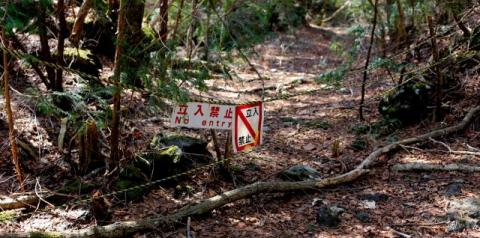 Aokigahara: A floresta do suícidio