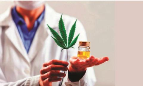 Laboratório em Belo Horizonte inicia a fabricação de produtos à base de cannabis