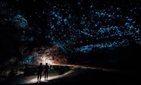 Contemplação da Bioluminescência: uma  experiência de viagem memorável
