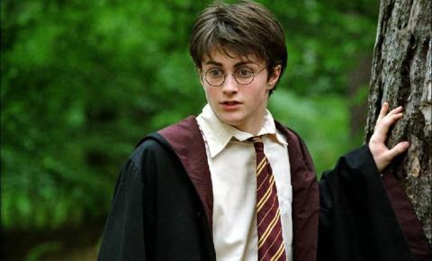 Harry Potter está em alta no mundo da cultura pop: é hora de termos uma série da franquia?